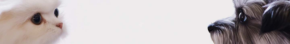 Est-ce que je peux attraper les puces de mon chat ?