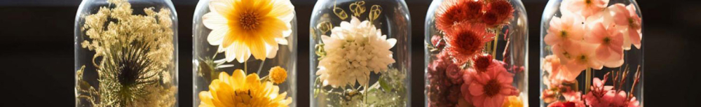 Quelle fleur de Bach pour la m&eacute;lancolie ?