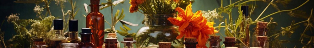 Pourquoi prendre la fleur de Bach contre le stress et l'anxi&eacute;t&eacute; ?