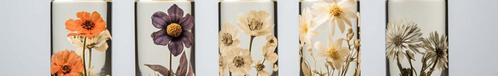 Comment se consomme les fleurs de Bach ?