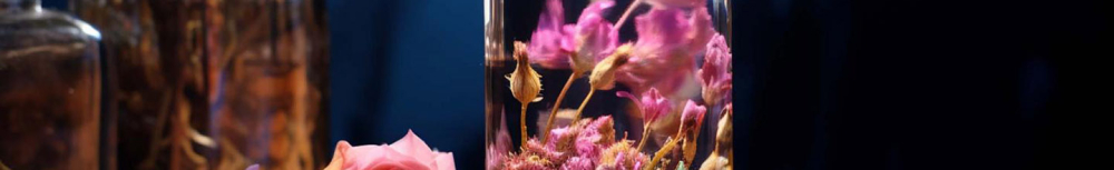 Quelle fleur de Bach contre la fatigue ?