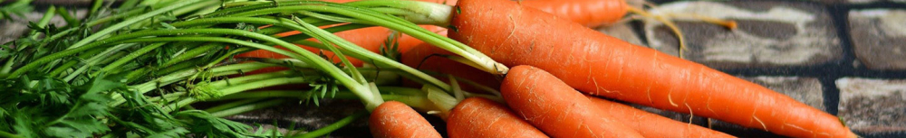 Comment utiliser l'huile essentielle de Carotte ?