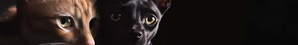 De combien de doses de vermifuge un chien a-t-il besoin ?