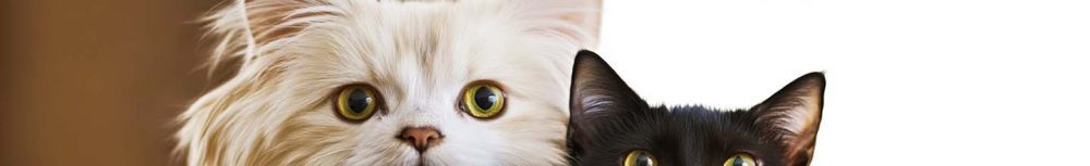 O&ugrave; Peut-on trouver du vermifuge pour chien ?