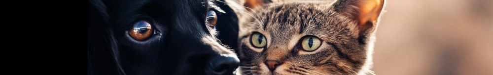 Quand le vermifuge fait effet ?