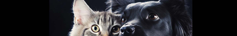 Quel est le meilleur vermifuge pour chien en vente libre ?