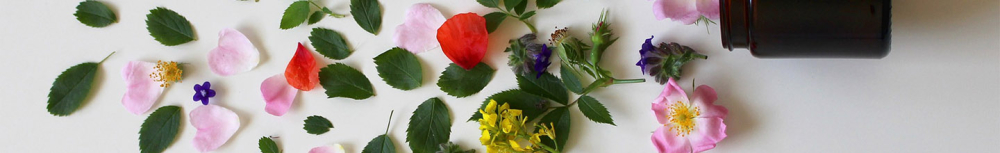 Pourquoi choisir des compl&eacute;ments alimentaires bio ?