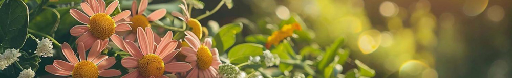 Comment choisir un compl&eacute;ment alimentaire anti cellulite ?