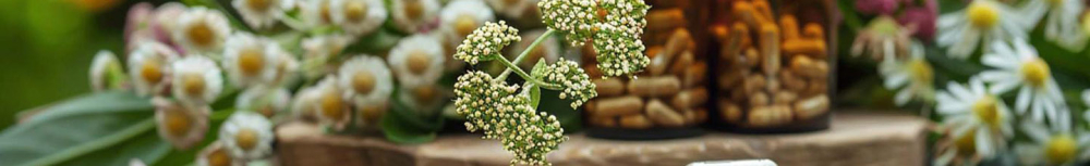 Comment choisir un compl&eacute;ment alimentaire capteur de graisse ?