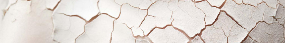 Quels m&eacute;dicaments choisir pour favoriser la cicatrisation ?