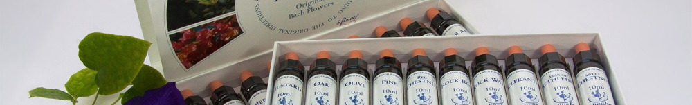 Quelles fleurs de bach faut-il absolument avoir chez soi ?