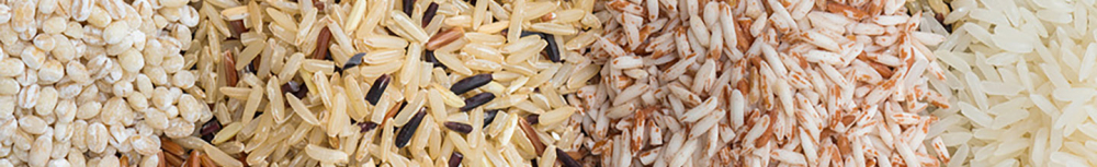 Quels sont les sympt&ocirc;mes d'une allergie au gluten ?