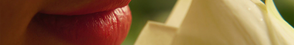 Quand un bouton de fi&egrave;vre devient-il non contagieux ?