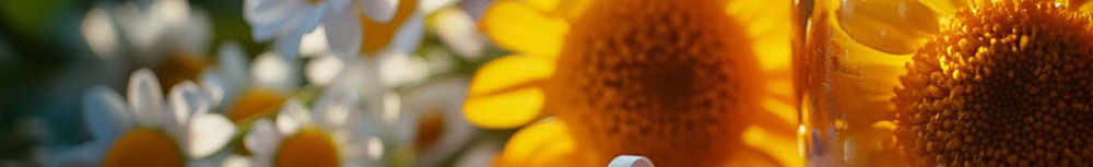 Quel est le meilleur Anti-inflammatoire hom&eacute;opathique ?