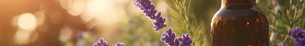 Comment vider son ventre des gaz hom&eacute;opathie ?