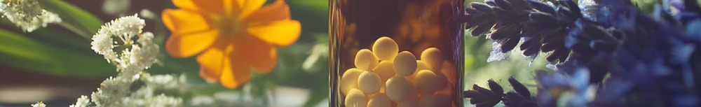 Quelle plante peut faire baisser le cholest&eacute;rol ?