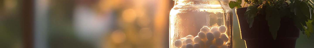 Quand donner Bryonia ?