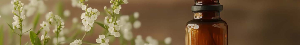 Quel hom&eacute;opathie pour la gastro ?