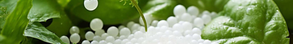 Comment choisir de l'hom&eacute;opathie contre les jambes lourdes ?