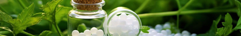 Comment choisir de l'hom&eacute;opathie comme anti moustique ?