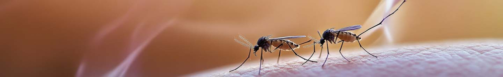 Comment soigner une piq&ucirc;re d'insecte qui gonfle ?