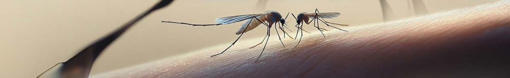 Comment soigner une piq&ucirc;re qui gonfle ?