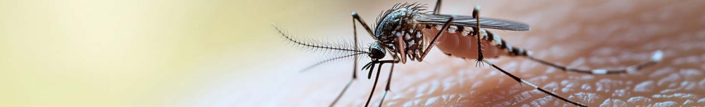 Combien de temps peut-on porter un bracelet anti-moustique ?
