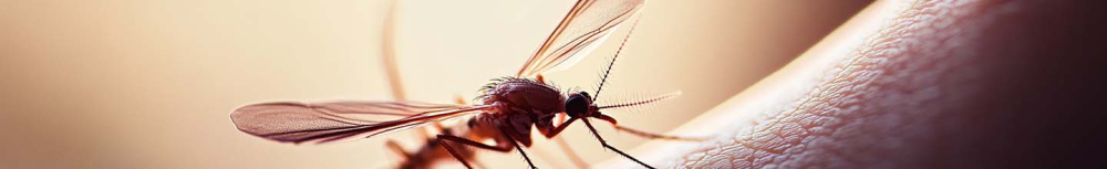 Quand s'inqui&eacute;ter apr&egrave;s une piq&ucirc;re d'insecte ?