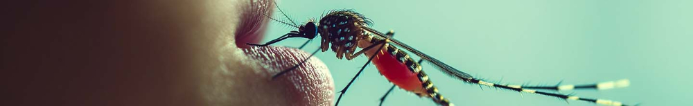 Les autocollants anti-moustiques fonctionnent-ils ?