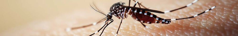 Quelles sont les antiparasitaires ?