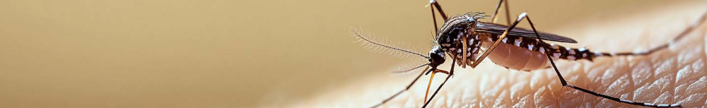 Les bracelets anti-moustiques fonctionnent-ils vraiment ?