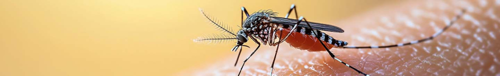 Quel antiparasitaire naturel ?