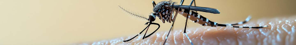 Quel est le meilleur Anti-moustique ?