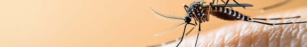 Quel est le meilleur anti-moustique naturel ?