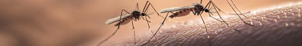 Comment savoir si on fait une r&eacute;action allergique &agrave; une piq&ucirc;re ?