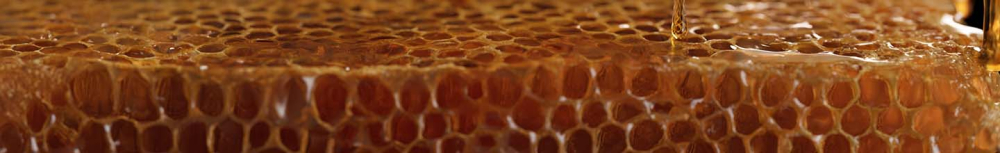 Quand prendre des gouttes de propolis ?