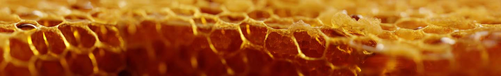 Quelle est la meilleure propolis pour la sant&eacute; ?