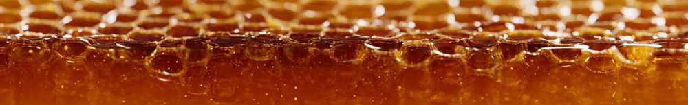 Est-ce que le propolis est un antibiotique naturel ?