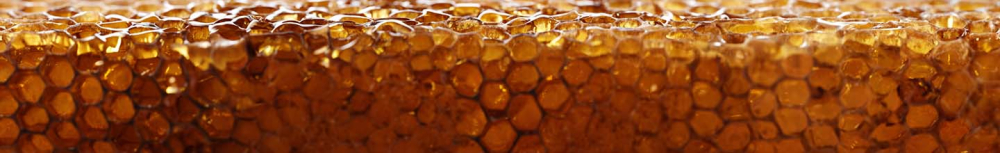 Quels sont les bienfaits du miel &agrave; la propolis ?