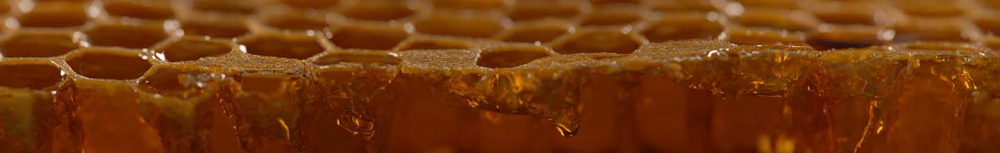 Comment utiliser les gouttes de propolis ?