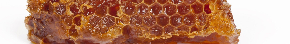 Pourquoi choisir de la propolis BIO ?