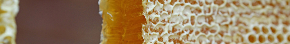 Dans quel cas utiliser de la propolis en spray ?