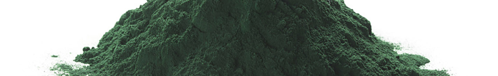 Quels sont les bienfaits de la spiruline ?