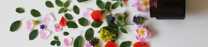 Quels sont les traitements de la py&eacute;lon&eacute;phrite ?