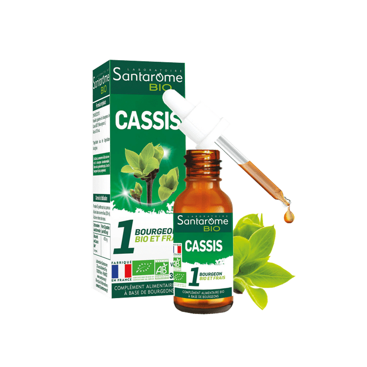 1 bourgeon BIO et frais cassis Santarome - flacon de 30 ml