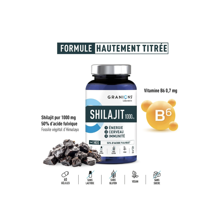Shilajit 1000g Granions - boite de 60 g&eacute;lules