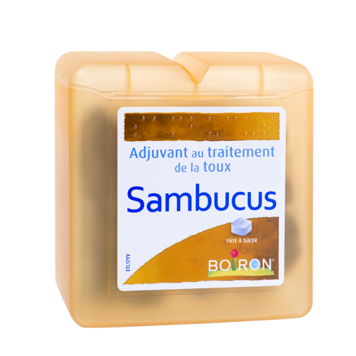 P&acirc;tes pectorales Sambucus Boiron - boite de 70 g