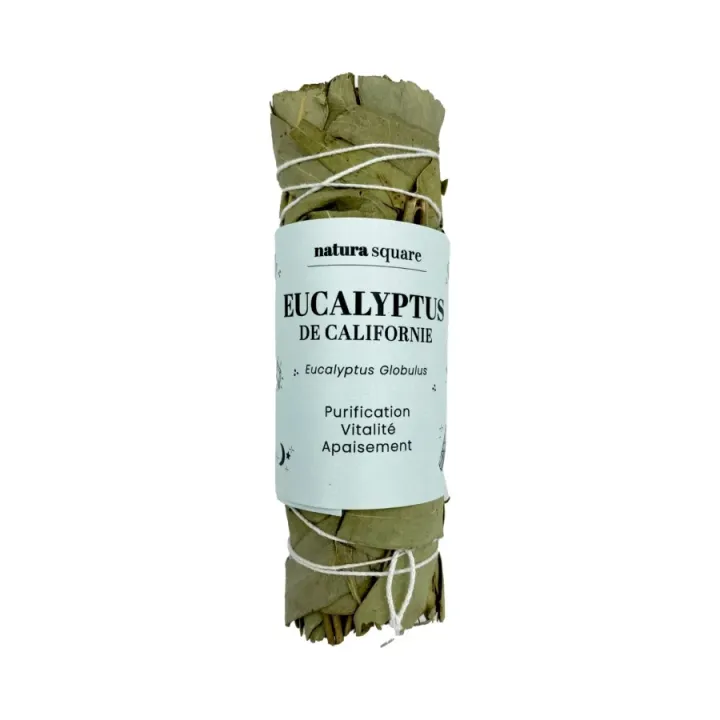 Eucalyptus de Californie Natura square - 1 fagot