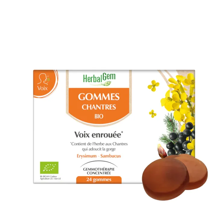 Gommes chantres voix enrou&eacute;e bio HerbalGem - boite de 24 gommes