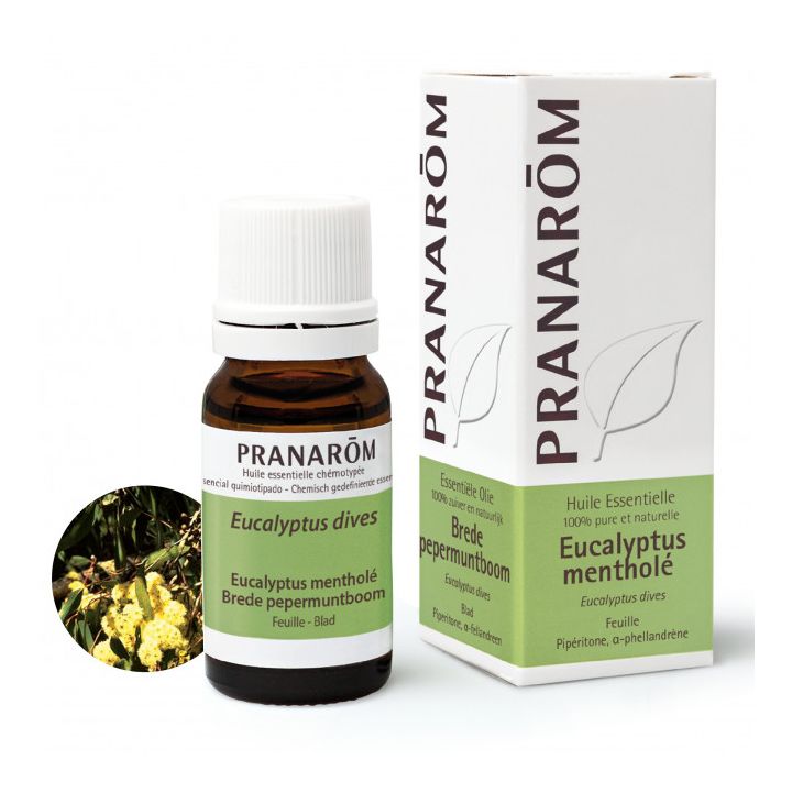 Huile Essentielle Eucalyptus Menthol&eacute; Pranar&ocirc;m - flacon de 10 ml